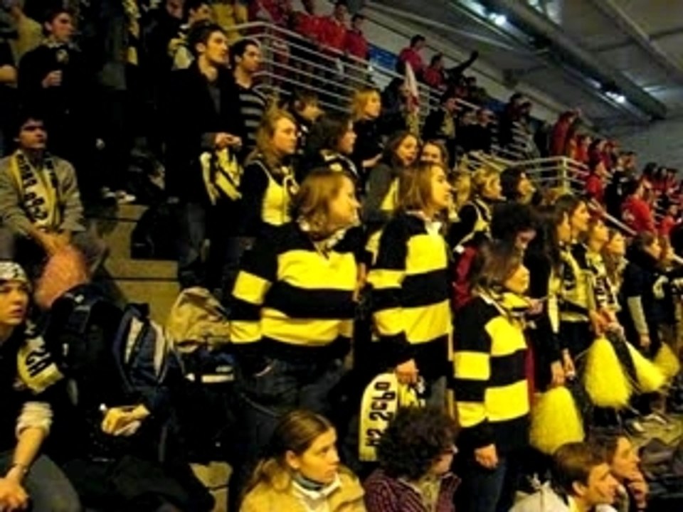 Crit 2007 : Tribune jaune et noire