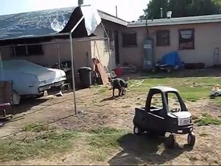 Pussy Poppin - Performance By: Coco & Princess