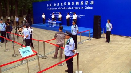 China destroys massive hoard of ivory