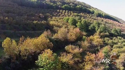 Ruta a caballo por las Hurdes - Casar de Palomero