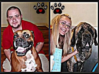 "Like My Dog" Billy Currington - Camp Bow Wow Pittsburgh version