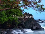 Pimento Grove (Afterhours Ibiza) Dale Anderson & Anil Chawla