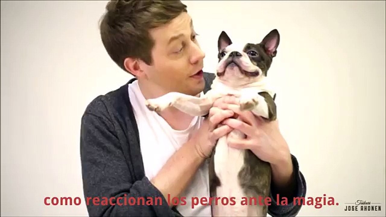 Así reaccionan los perros ante los trucos de magia