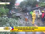 Cebu feels Typhoon Yolanda's might