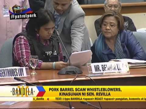 Bong Revilla sues whistleblowers