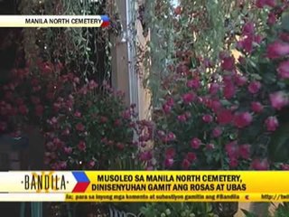 Boy injured after falling from tomb