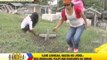 Bohol historical site damaged by quake