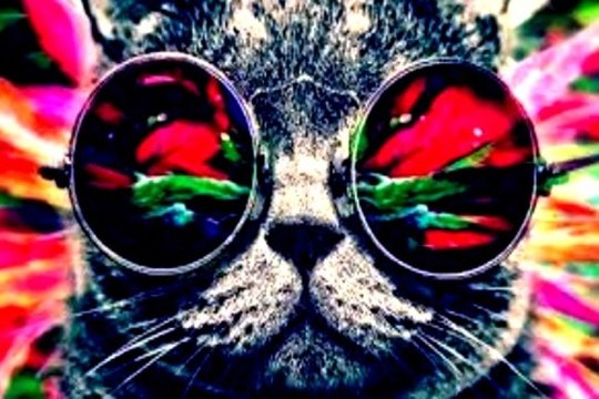 TechnoTrance & D'n'B [Dj Catan Track]