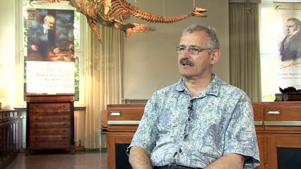 Altes Skelett in neuer Montage - Plesiosaurier im Bonner Goldfuß-Museum