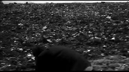 Ashes and Diamonds (1958, Andrzej Wajda)