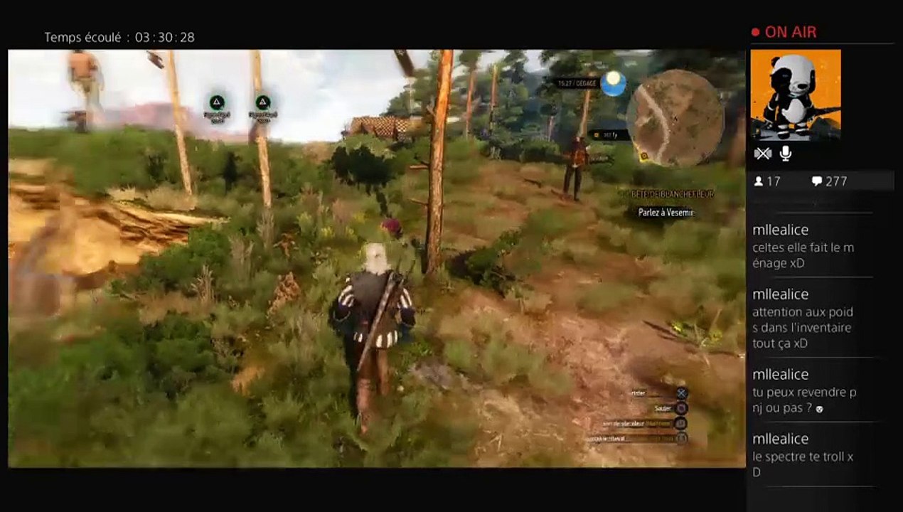 2015-05-24 Live The Witcher III part 8