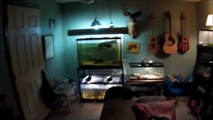 Reptile Room Update March 2014