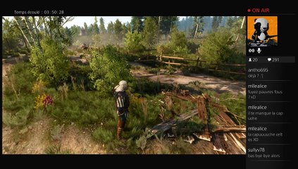 2015-05-24 Live The Witcher III part 9
