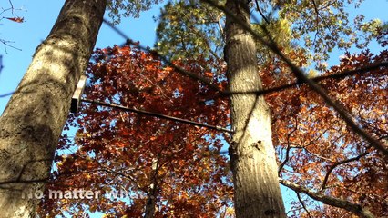 Ariel Lederman - Is motivation key to success?