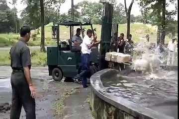 A trapped wild elephant cub struggles in the waters of a reservoir tank during a rescue mission by Indian army personnel at Bengdubi army cantonment area some 25 kms from Siliguri on August 30, 2011  A wild elephant cub fell into the water rese