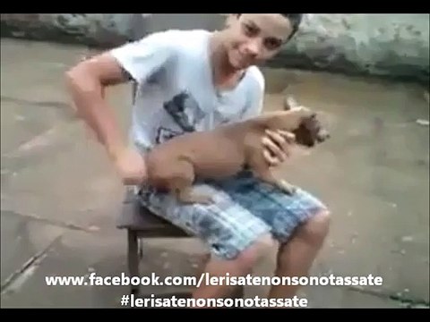 Il cane che si morde la coda...