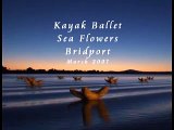 Kayak Ballet among sea flowers, Bridport, Tasmania