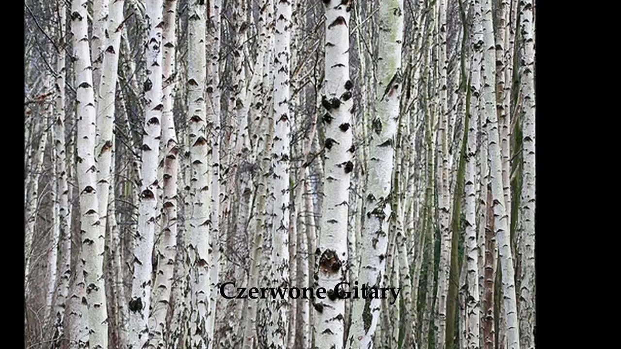Krzysztof Klenczon & Czerwone Gitary - Biały Krzyż