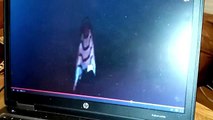 UFO Sightings NASA Shuts Live Video Feed As Massive UFO Appears! 1/6/2015