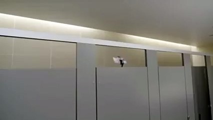 Selfie Lovers have To See This