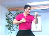 William Cheung Wing Chun - 1996