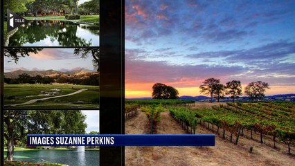 Neverland, le ranch mythique de Michael Jackson, est à vendre