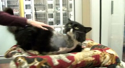 Breakfast Television at the EHS November 30, 2010