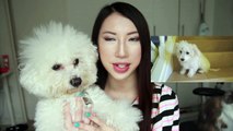 THE FURRY FRIEND TAG - Bichon Frise and Persian Kitten | Bethni