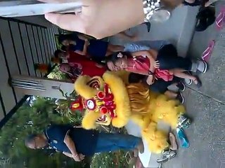 Lion dance 2015 Chinese new year