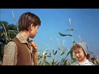 Old Yeller Trailer