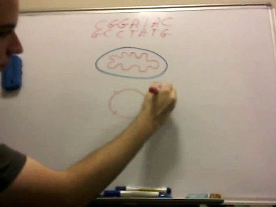 Cell Biology Video 1