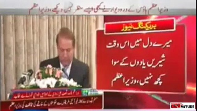 A Tribute to PMLN Leadership For Gracefully Upholding The Highest Morals & Ethics.