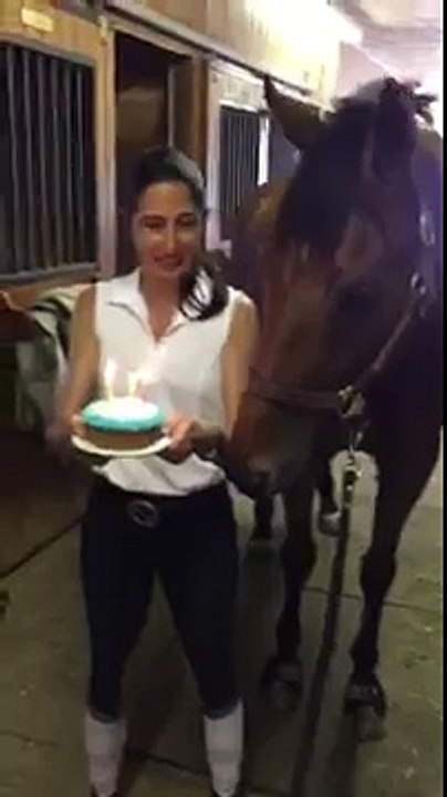 Horse blows out his birthday candles and smile!