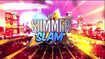 WWE 13 - HBK Shawn Michaels Superstar Threads 3