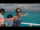 Delfines Cancun Isla Mujeres
