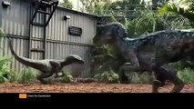 Jurassic World - Raptor Pack