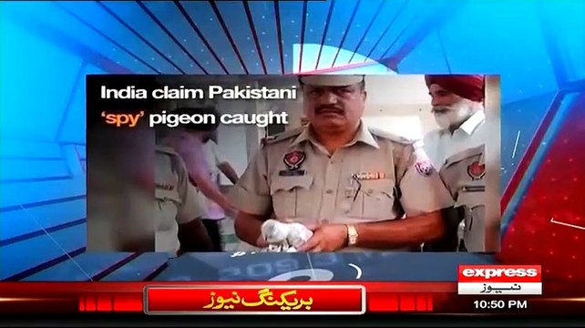 ▶ Ahmed Qureshi Classic Chitrol Of Indians On Saying 'We Caught Pakistani Spy Pigeon'