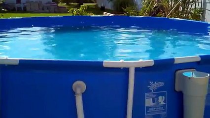 What you need to convert  a Intex pump to a summer escapes pool