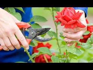 Man wisarin jo was kayan tho Par by Manzoor Sakhirani