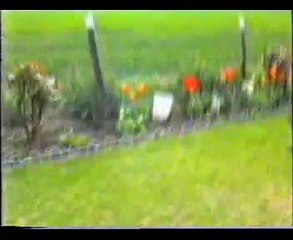 Pippa Horney (Born 1991 - Died 2003, R.I.P - Our little mad dog)