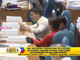 'Pork' remains in 2014 budget, Escudero says