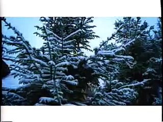 Silkk The Shocker feat. Trina That's Cool    - Bohemia After Dark