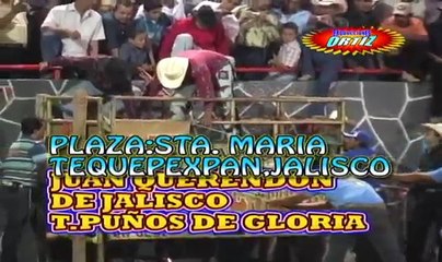LOS DESTRUCTORES DE MEMO OCAMPO
