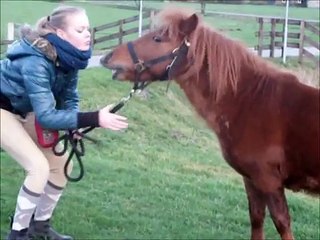 for all my dear loves xx