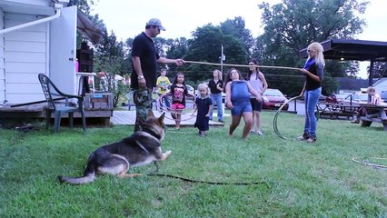 German Shepherd for personal protection. And everyone are safe.