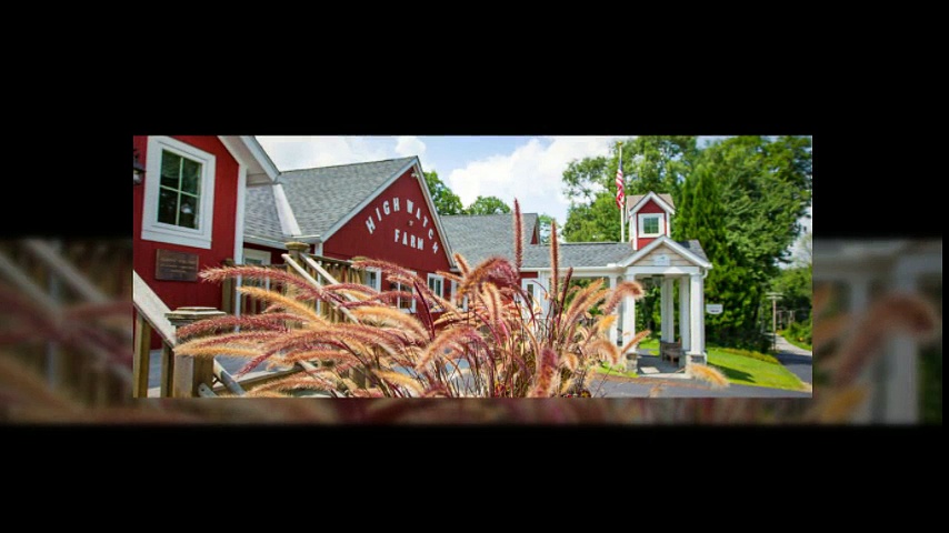 substance abuse treatment CT