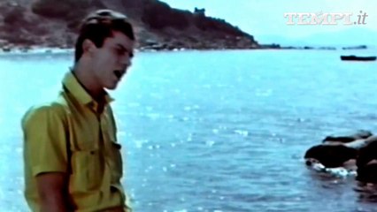 50 anni di Blowing in the wind: ma in Italia "risposta nel vento non c'è"