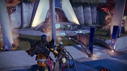 That time I chilled with the pigeons