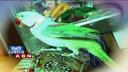 Unbelievable amazing Parrot Talking in Vijayawada (30 - 05 - 2015)