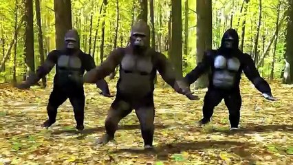 Dancing Gorillas